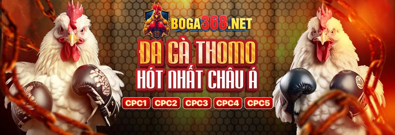 Tin tức mới nhất về sx88 bet 2026