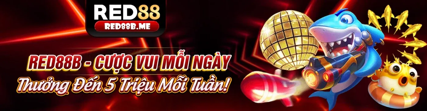 Phân tích thị trường cá cược sx88 bet